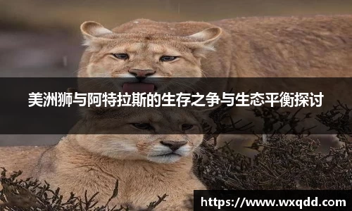 江南体育官网