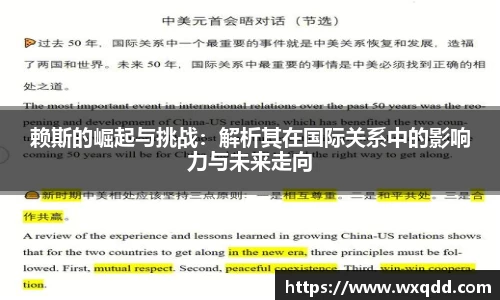 赖斯的崛起与挑战：解析其在国际关系中的影响力与未来走向